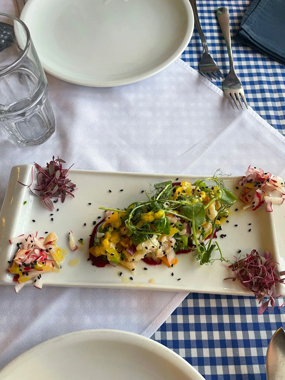 Fish Ceviche