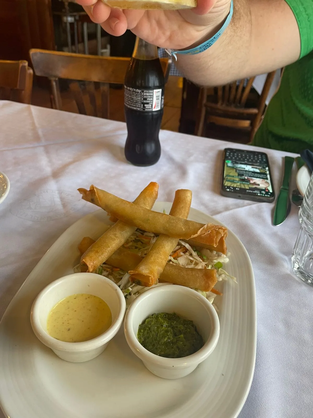Crispy Spring Rolls