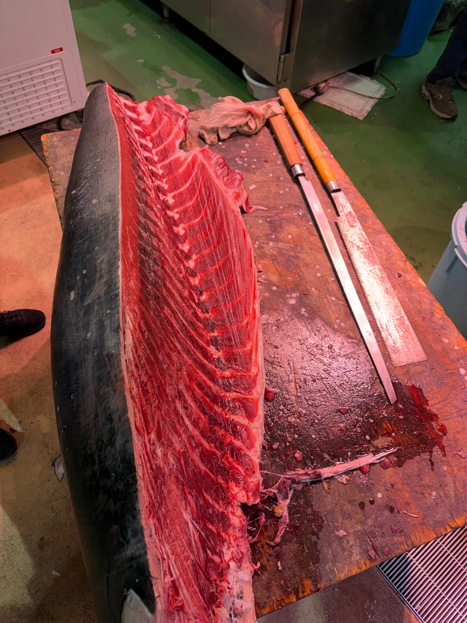 Toyosu Market - photo 10 by לורן בן אפרים